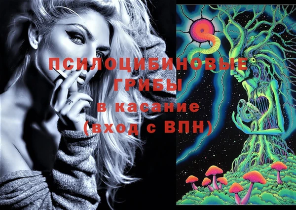 первитин Алексин