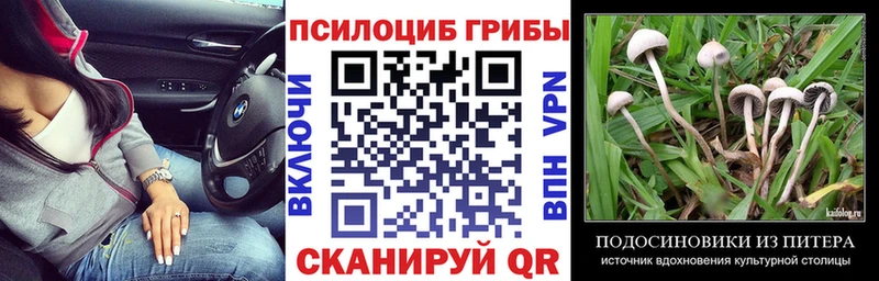 Галлюциногенные грибы мухоморы  Сенгилей 